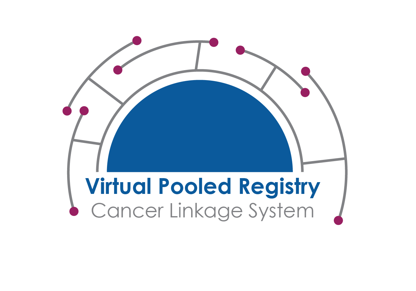 Virtual Pooled Registry